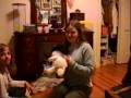 videos de Phobias...?