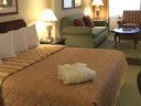 The Adam's Mark Hotel - Indianapolis, Indiana
