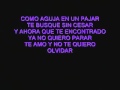 COMO AGUJA EN UN PAJAR
