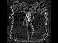 svartnar - dess sanna jag
