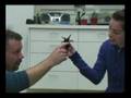 videos de spider handling
