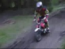 Stocker race