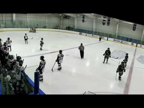 BHA vs CT Northern Lights 25’