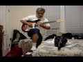 Peavey Raptor Plus Demo