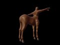 Centaur Model Centaur Model