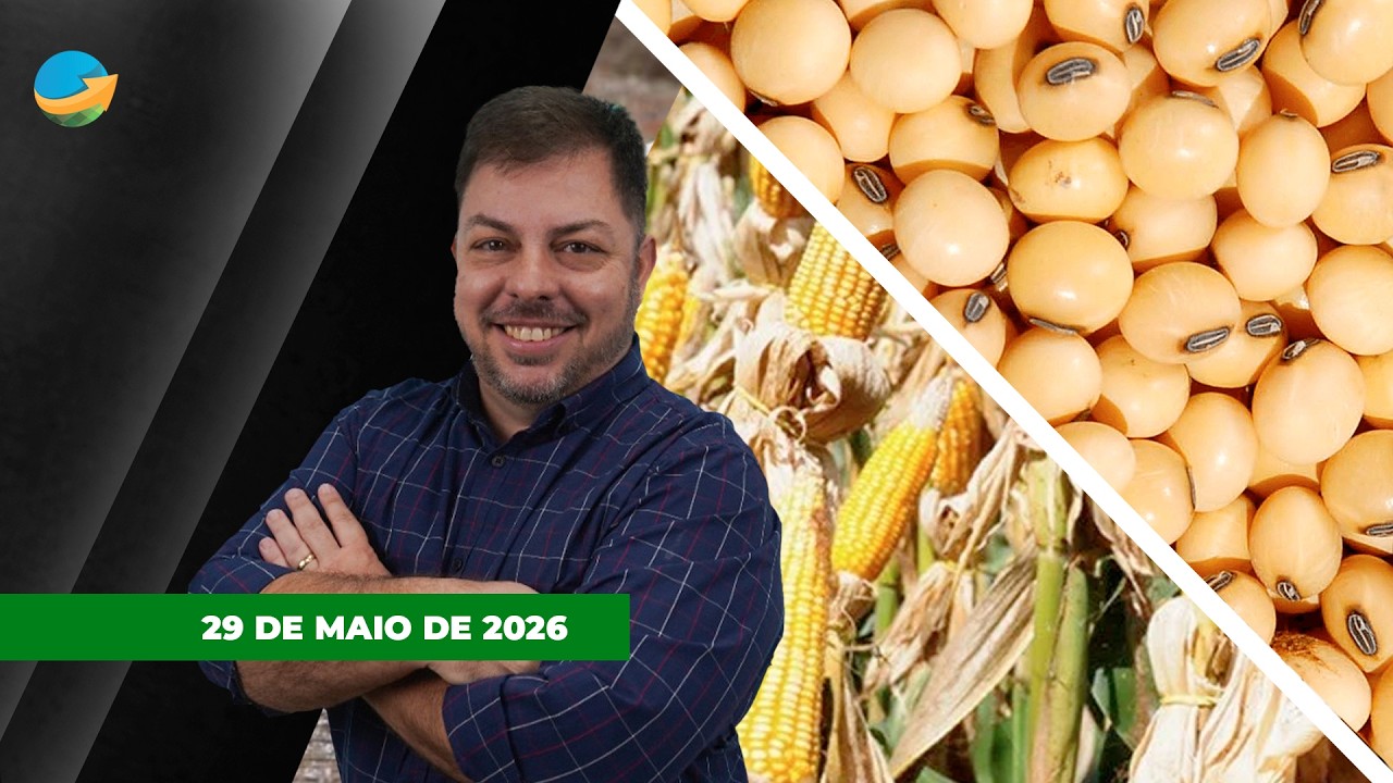 Milho na B3 sinaliza bons preços com demanda forte para o segundo semestre; Petróleo e farelo...