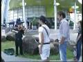Lester Kong in TV Drama
