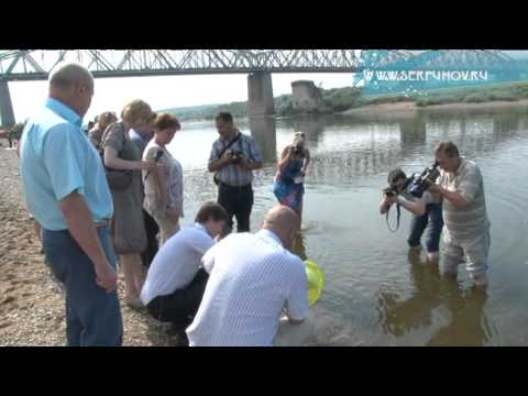 как ловить на оке серпухов как ловить на оке серпухов