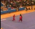 WUSHU WUSHU
