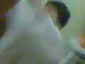 M:i:4 (With taupok)