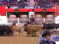 2007 NCHA Futurity  Amateur
