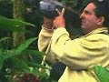 Costa Rica scenery http://www.enterbet.com Costa Rica scenery http://www.enterbet.com