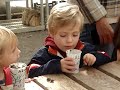 MOV03622.MPG