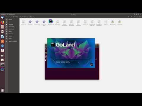 02 IDE GoLand