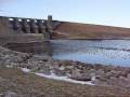 videos de Canada Geese and Mallards at RR Dam 010809 0001