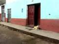 Huanta Calle Jeri Hiraoka