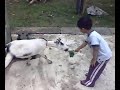 FEEDING