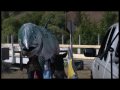UPSTREAM BATTLE Trailer 2008