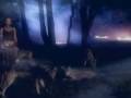 NOX !!! ** Nagi instynkt **˙·٠•● ღ Szilvia`ღ ●•٠`* ``*•.¸♥ღ