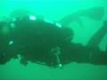 Aug 23 MacAbee Dive 2