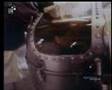 Apeonaut