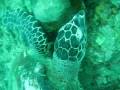 Ko phi phi Thailand sebas, santi y juancho