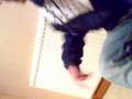 videos de Video004.3gp