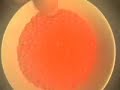 Mercimek �orbas? ~ Linsensuppe