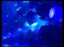 zillion compilation ii