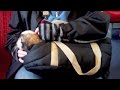 Rascal - Episode 3