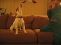 my 9 year old son discovered that rascal loves the harmonica. great for parties!