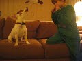 my 9 year old son discovered that rascal loves the harmonica. great for parties!