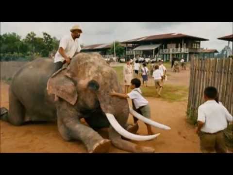 Tom yum goong - The protector e...