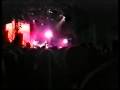 offspring have you ever