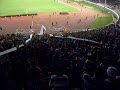 wydad