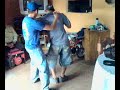 balzar el colorado y cacho