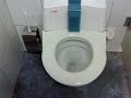amazing toilet
