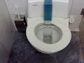amazing toilet