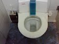 amazing toilet