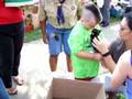 FREE Kitties in a box!