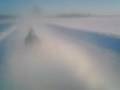 videos de Ziema lietuvoje