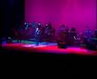 Guaco