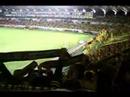 JEF-United-Chiba-fan