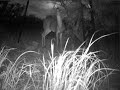 deerlookupnov7