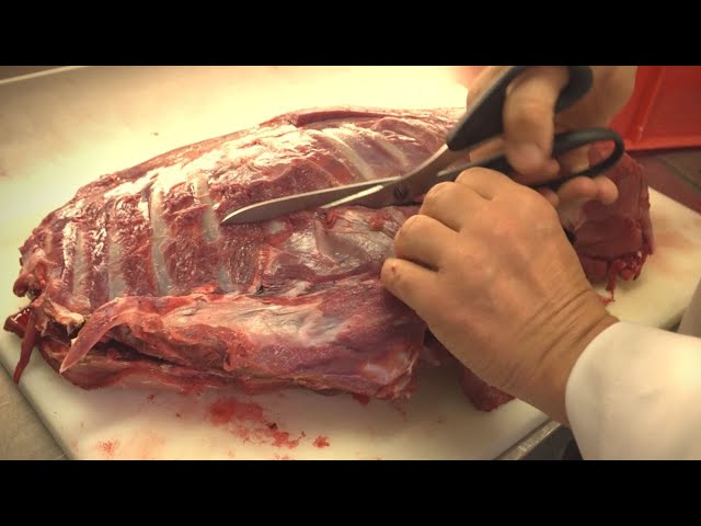 DIY | Wie zerlege ich ein Reh fachgerecht?