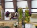 CPJHSA Benefit Horse Show~ FEATURING: Roanlyours38, bvrc1214, and ponyclaw!!