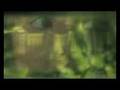 Deep Forest Amazonia new CD on deep-projects.com