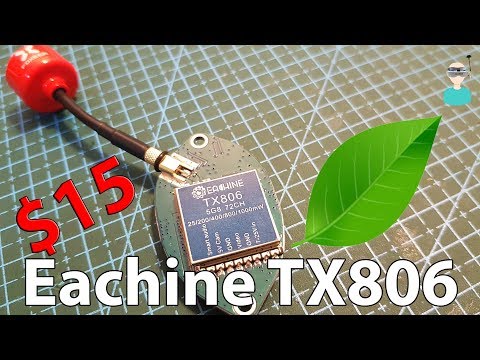 Eachine TX806 Leaf VTX - Review & Field Test