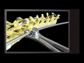 Dedalo Animaciones