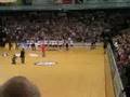 SG Flensburg Handewitt vs. Gummersbach (36:34)
